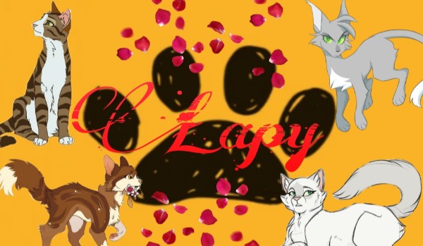 Łapy – rozdział 4