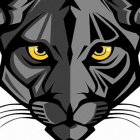 team_czarna_lapa_Pantery