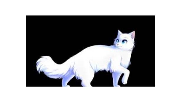 Zemsta kotów z Mrocznej Puszczy cz. 3