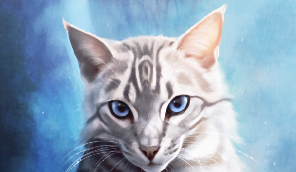 Gwieździsta Noc.Powrót nadziei.prolog