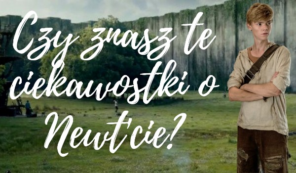 Czy znasz te ciekawostki o Newt’cie?