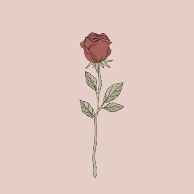 .......Rose........