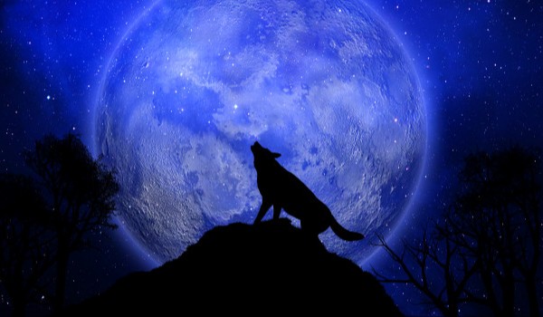 Krista ,,Tajemnicze Spotkania”