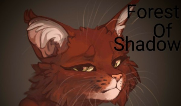 Forest of Shadow~ ep.3~