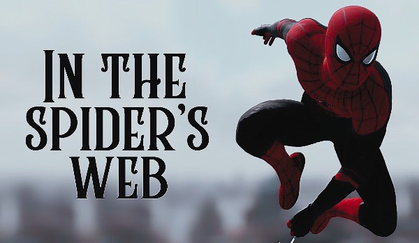 In the spider’s web •Chapter one•