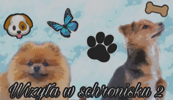 Wizyta w schronisku 2