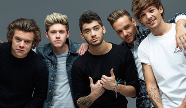 Test na znawce one direction