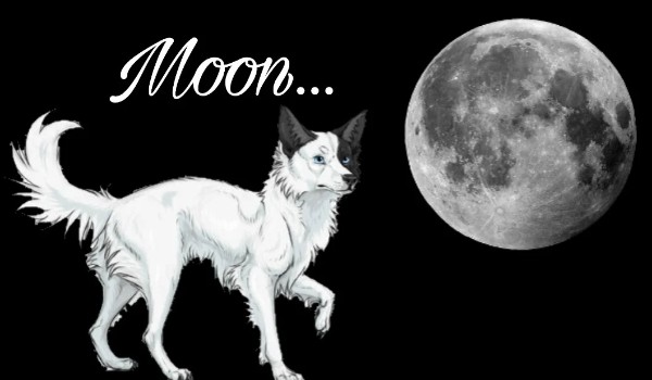 Moon… – Spis postaci oraz prolog