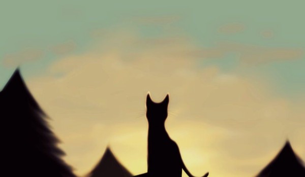 Zemsta Mulistej Trzciny- rozdział 1