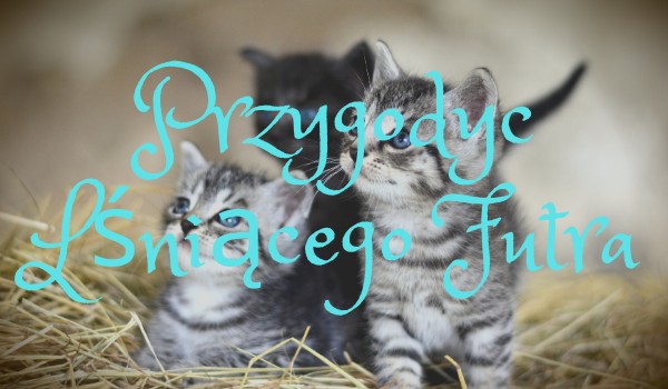 Przygody Lśniącego Futra#3