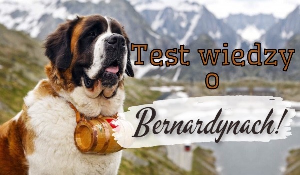 Test wiedzy o Bernardynach!