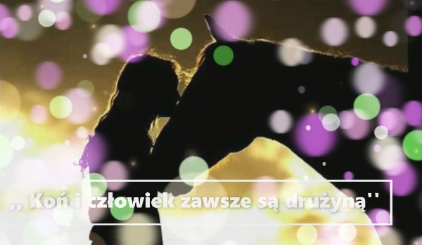 2. ,, Koń i człowiek zawsze są drużyną”