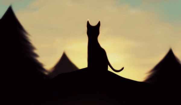 Zemsta Mulistej Trzciny- spis kotów