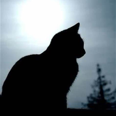 .Caty.