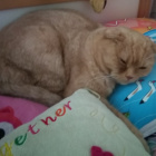 Ewka_marchewka_konewka