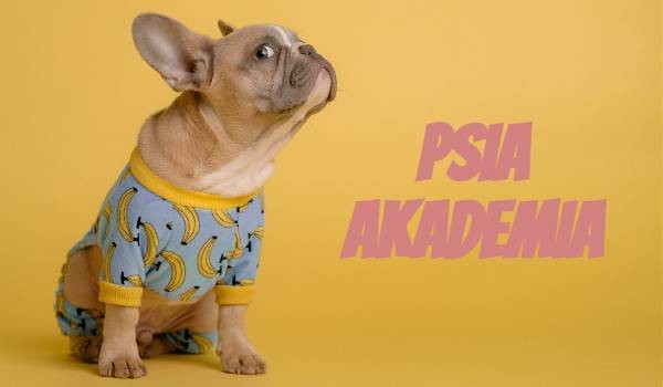 Psia akademia #1
