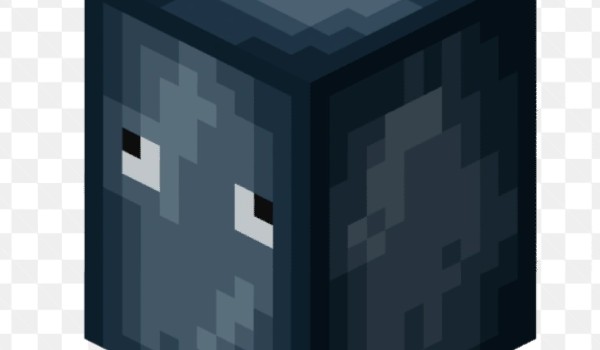 Minecraft wodne zwierzęta