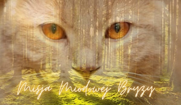 Misja Miodowej Bryzy ~Rozdział 4~