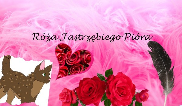 Róża Jastrzębiego Pióra   / Prolog