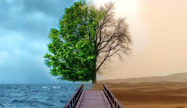 Powtórzenie do egzaminu