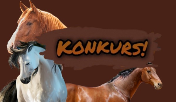 Konkurs [wyniki]