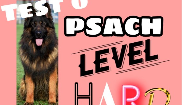 Test o psach LEVEL HARD!!!