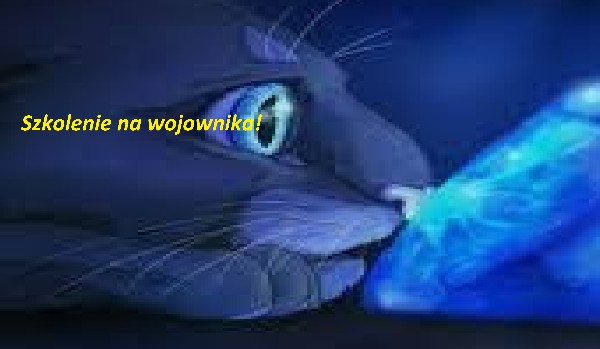 szkoła na wojownnika lub medyka!
