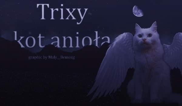 Trixy kot Anioła #01