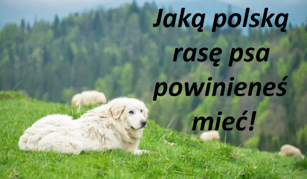 Jaką polską rasę psa, powinieneś mieć!