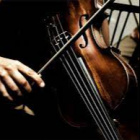 KiziaSunflowerViolin