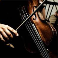 KiziaSunflowerViolin