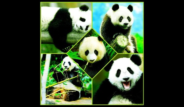 Oddzielona od rodziny. #5