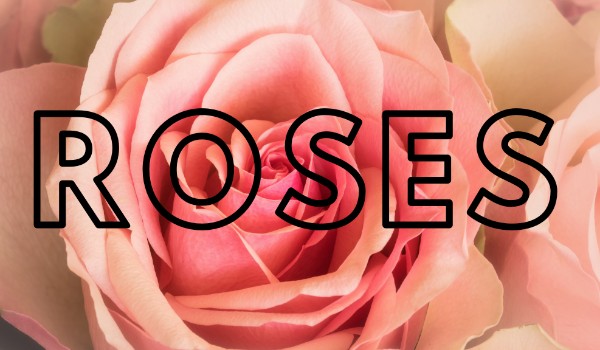 #Roses# |  Prolog