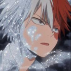 todoroki.shoto__