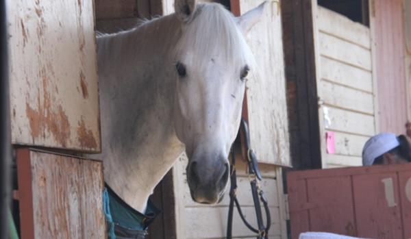 Inazuma eleven go cz.2