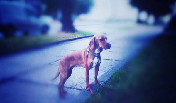 CS:GO HvH – Polskie HvH