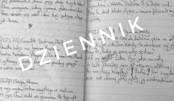 Dziennik-10