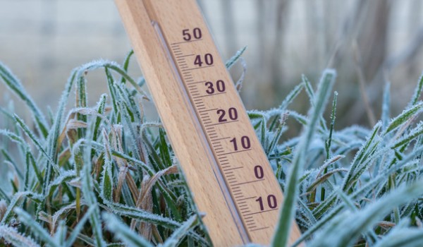 Przymrozki – Projekt