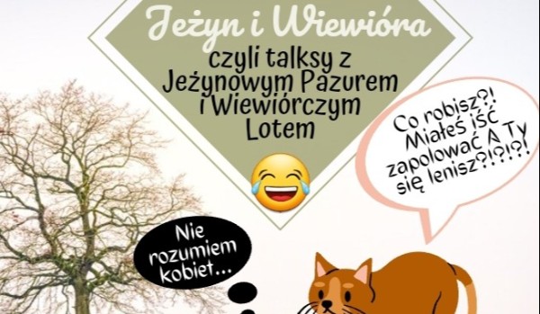 Jeżyn i Wiewióra, czyli talksy z Jeżynowym Pazurem i Wiewiórczym Lotem cz.2