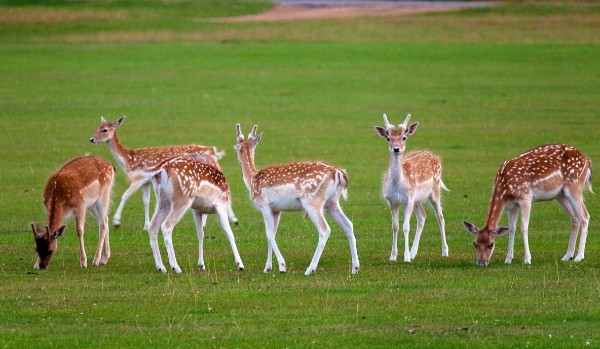 Magiczna pełnia część 1