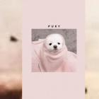 _asethic__eukaliptusik_