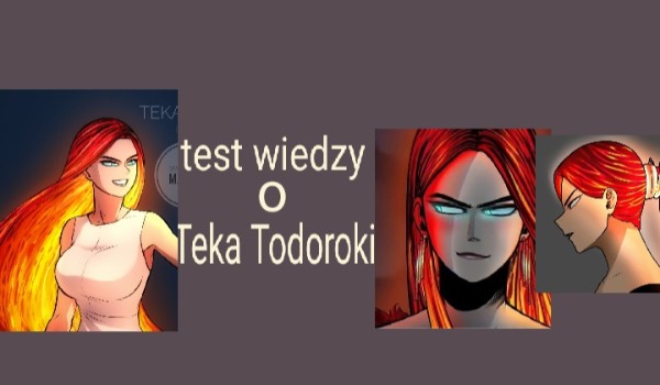 Tets wiedzy o Teka Todoroki