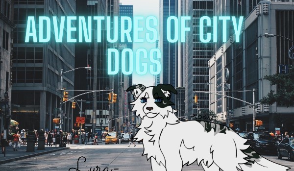 Adventures of City dogs#2
