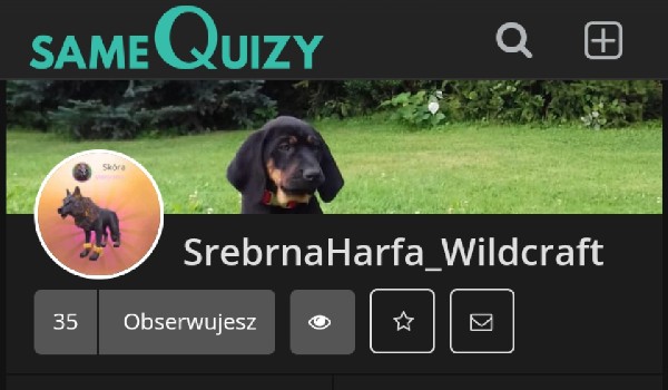 Oceniam profil SrebnaHarfa_Wildcrat
