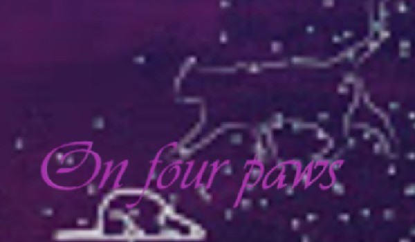 On four paws -Rozdział 4-