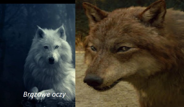 Brązowe oczy. Zawioszone