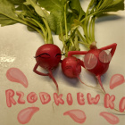 .Czerwona.Czapeczka.