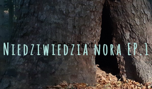 Niedźwiedzia nora EP.1