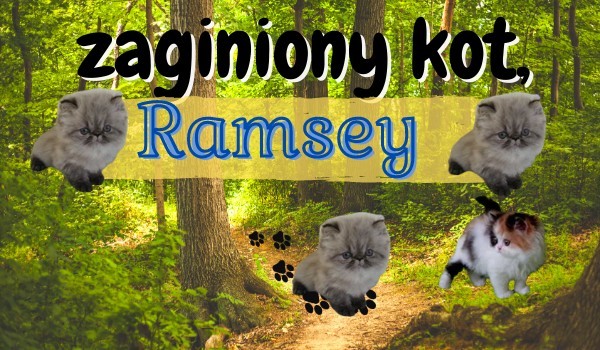 Zaginiony kot, Ramsey