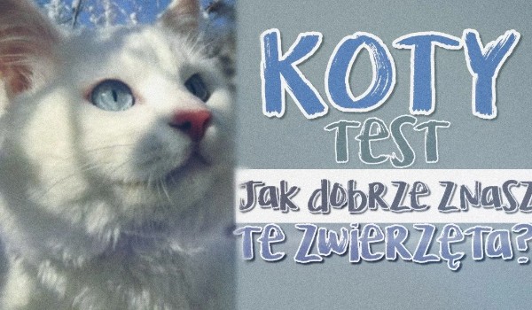 Test- koty
